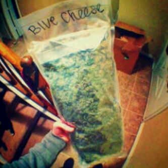 Weed just made my life better