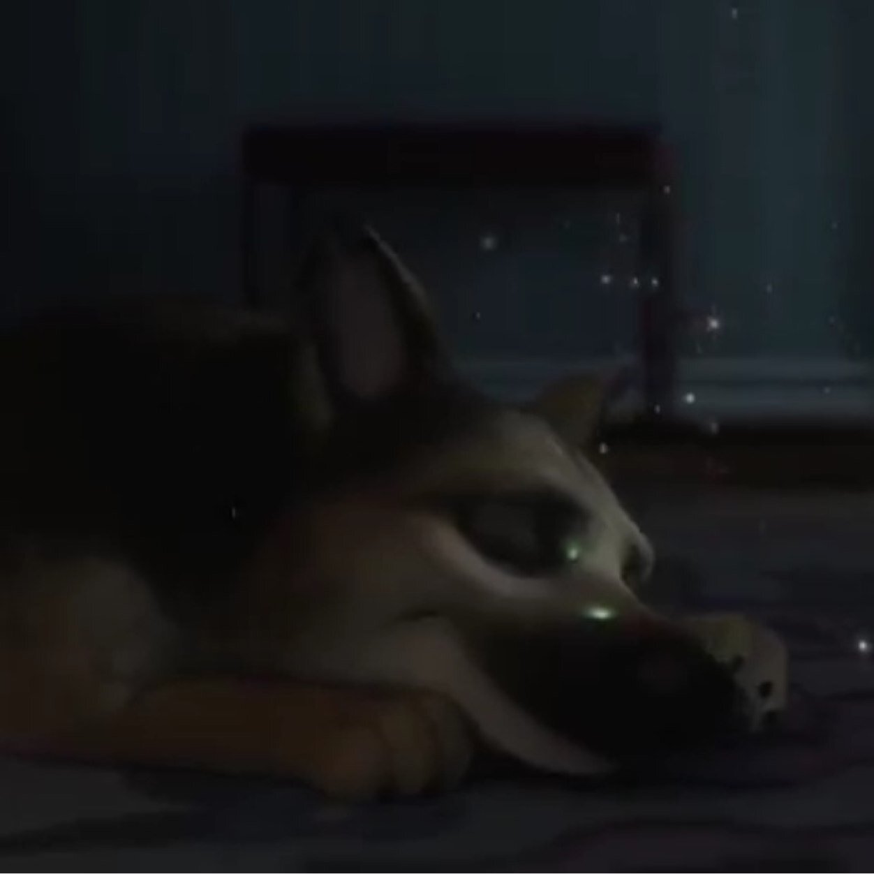 Im Molly protecter of owner, cunning and loyal also there for my family and friends *smiles*. Mate @TheRealBolty harm him your dead! His mine and i love him :)