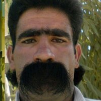 سعيد حاحا (@haha3342) 's Twitter Profile