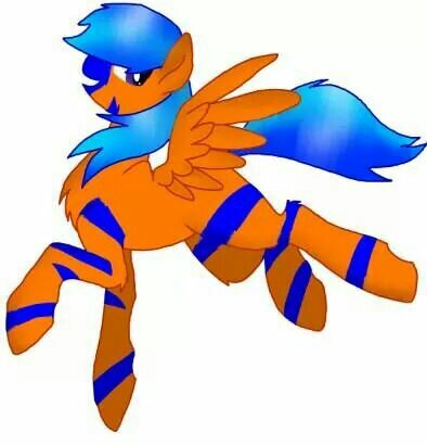 BronySocial Owner