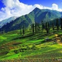 Ulim4Welker's profile picture. want-ne to fits of apathy  ...  Evil internet practitioner   Certified alcohol guru  #