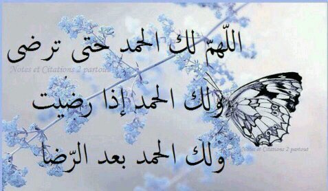 إلا رسول الله صلى الله عليه وسلم  إلا الإسلام و المسلمين في العالم