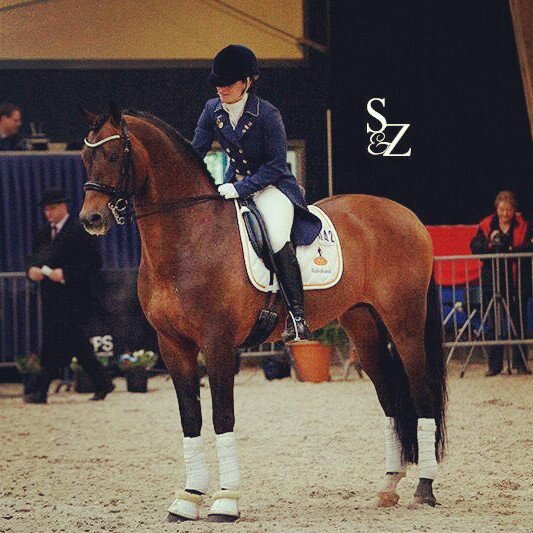 FEI Dressage Rider from the Netherlands!