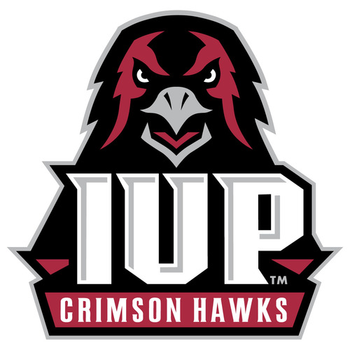Image result for IUP baseball logo