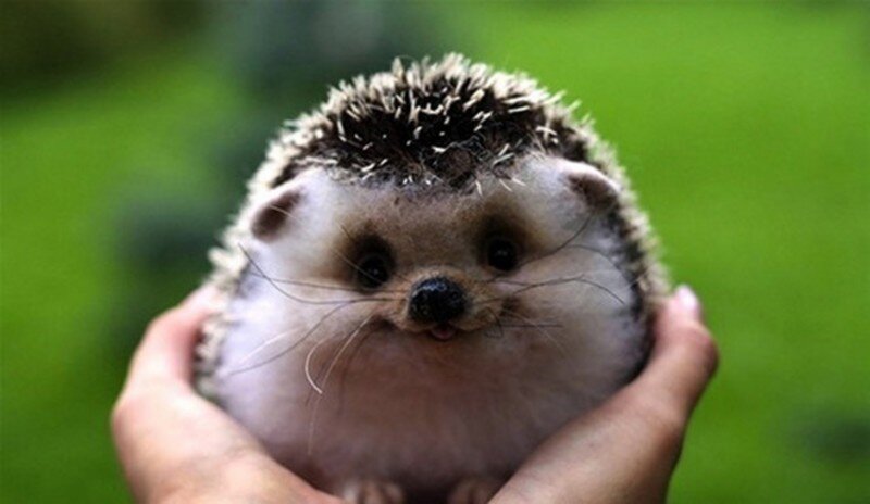 Smile and make someone else smile...