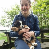 Loes (@loesloesoonk) 's Twitter Profile
