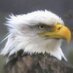Glogdog Decorah (@glogdog) Twitter profile photo Glogdog Decorah (@glogdog) Twitter profile photo