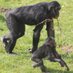 ZOOLogisch (@zoo_logisch_2) Twitter profile photo ZOOLogisch (@zoo_logisch_2) Twitter profile photo