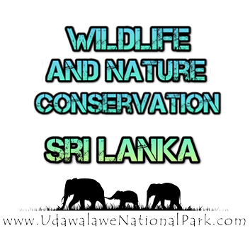 Twitter account of Wildlife and Nature Conservation, Sri Lanka