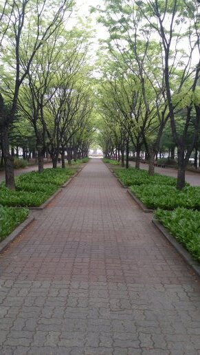 chkj02111's profile picture. 