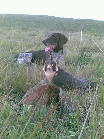 ArnoldSlabbert's profile picture. Problem animal control specialist/Wild Warrior