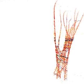 BNoten's profile picture. Batman/Fashion/Crazy/Philosophy/Music/Africa/Education/Laugh/Media @bibgeraardsberg