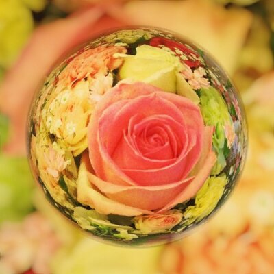 Ume