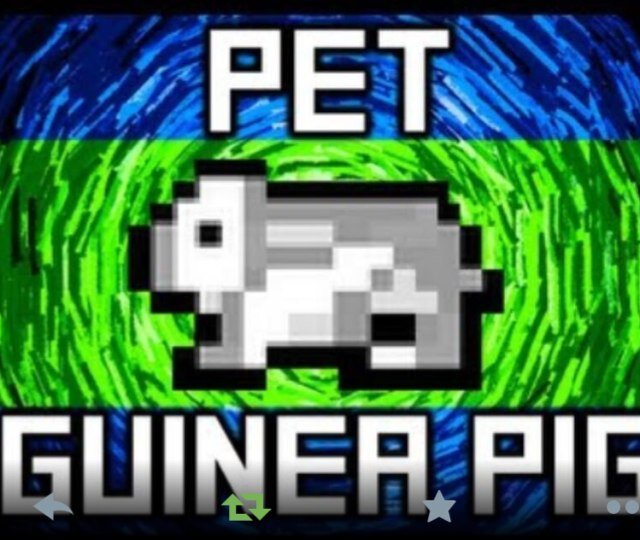 Hey guys if u have a ginea pigs well I LOVE THEM I have 2 :) :) :)