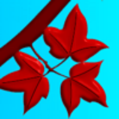 lookesdeonecomp Profile Picture