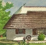 PescArome's profile picture. La Boutique de @Pescalune: huiles essentielles & plantes bio en provenance de petits producteurs sélectionnés en Bretagne, Provence, Corse, Guyane et Madagascar