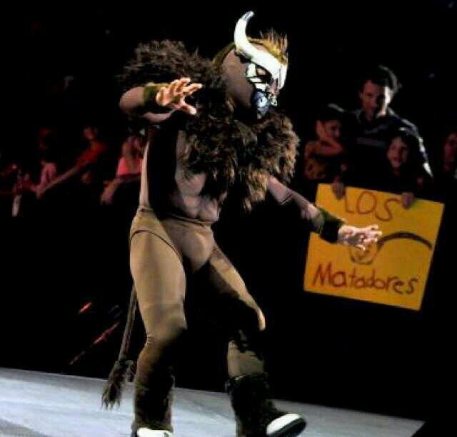 FearTheBullWWE's profile picture. #FearTheBull (RP)