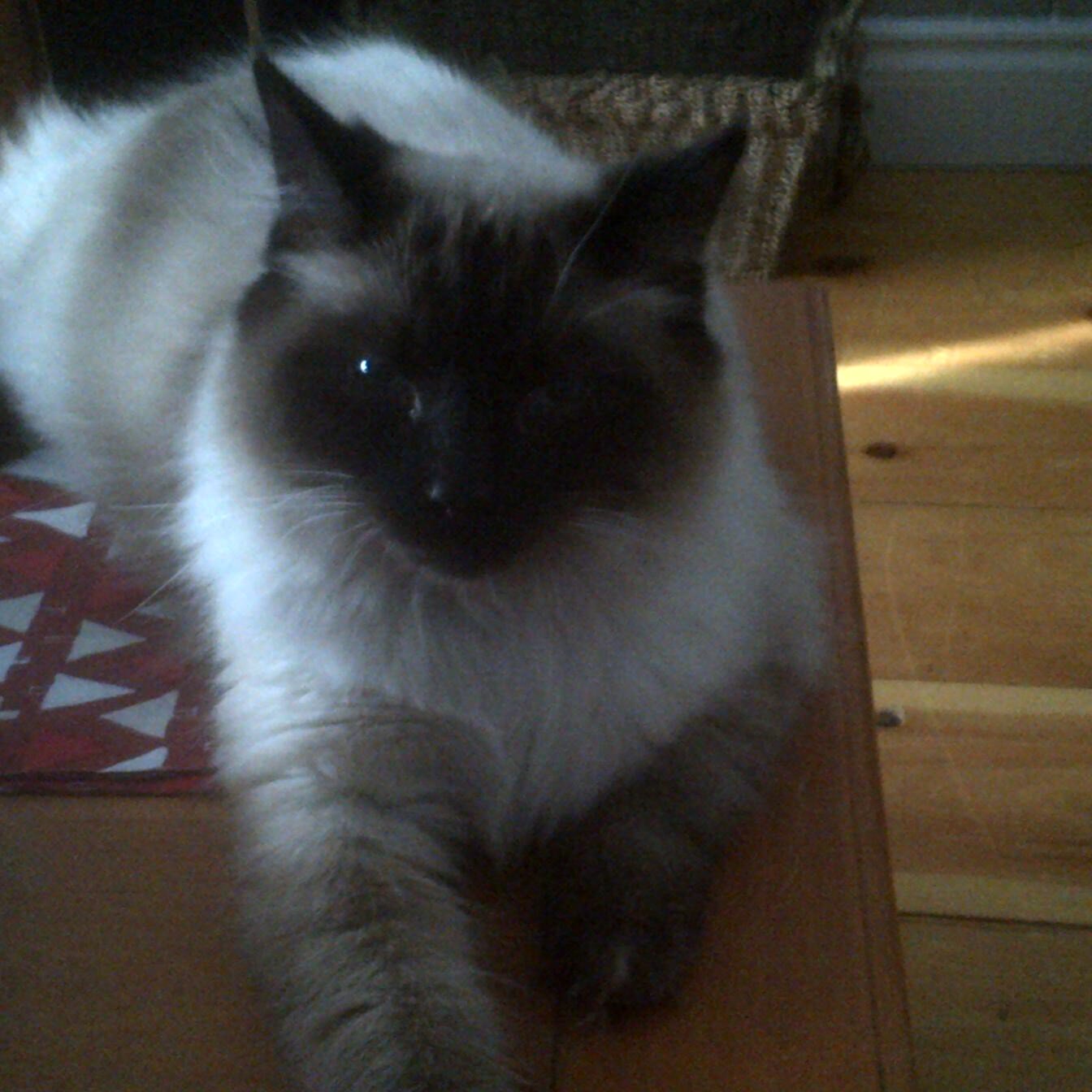 terrod99's profile picture. 