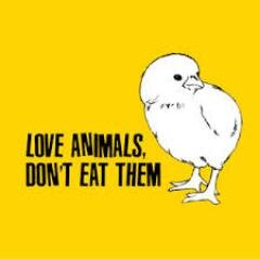 Dont eat, dont torture, protect, love