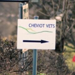 Veterinary practice based in North Northumberland and the Scottish Borders. Available 365 days a year for small animals, farm animals and horses.