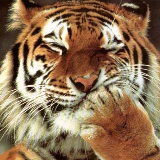 Zuk114's profile picture. Connected