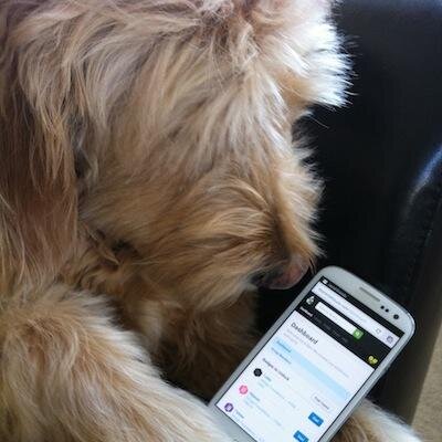 Funny messages received from my dog...