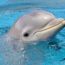 barbara thelen - @barbarathelen1 - Twitter