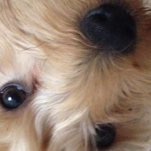 I_Like_France's profile picture. 