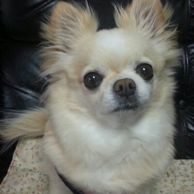五十嵐 徹 4265toru Twitter 五十嵐 徹 4265toru Twitter