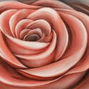 Mara.Leona - @MaraLeona - Twitter