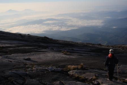 fxinfant's profile picture. 