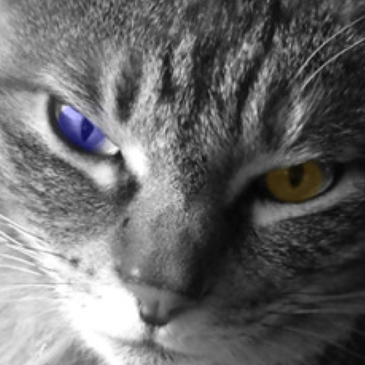 初めましての方は初めまして、ゲーム実況と歌いてを始めようとしているあおだぬきです まだ準備が整っていないのでできませんが YouTubeに投稿するのでぜひ見てください！