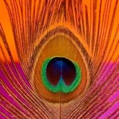 econostylish's profile picture. Got a new blog, It's gonna be huge I tell you!I write about Plus Sizes Fashion, HSP, Dream of becoming a single mom,Recipe ideas, cooking tips and other things.