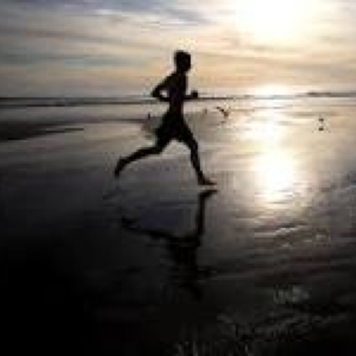 Runnercentral's profile picture. Running is my passion 5000-17:26,1600-4:35, 3200-10:32, 800-2:03 400-0:55, 3000-9:58, 1500-4:34, 4x8-8:14, sophmore in high school