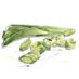British Leeks (@britishleeks) Twitter profile photo British Leeks (@britishleeks) Twitter profile photo