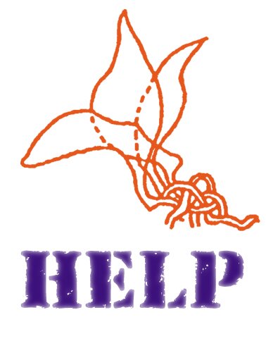 HELP is a NGO working with children of women in prostitution and children in prostitution for prevention of second generation to be trafficked in Andhra Pradesh