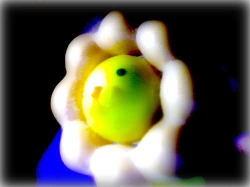 evian_9's profile picture. よろしくメカドック   ハイライトにカメコ活動写真掲載してます