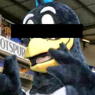 AlexWinehouse's profile picture. Jewish Spurs fan. Shocking I know.