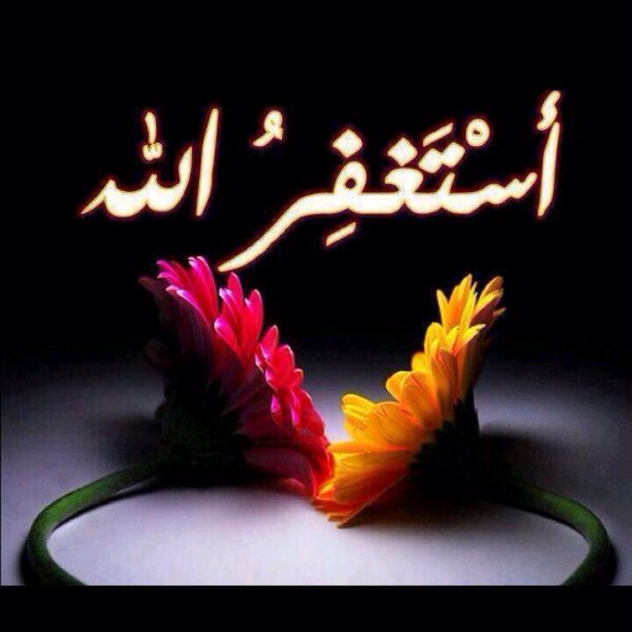 kat2525kat3's profile picture. 