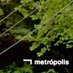 Metrópolis (@metropolis_tve) Twitter profile photo Metrópolis (@metropolis_tve) Twitter profile photo