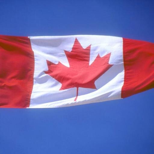 cdnpoli_digest's profile picture. Summarizes the most important and note-worthy Canadian political content being shared across social media. 

Updated daily