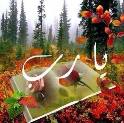 ‏‏‏‏‏‏‏‏‏‏‏‏‏‏‏‏‏☆ عساء  الله  يزينها ☆