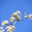 Paula Proffitt - @PaulaPproffitt - Twitter