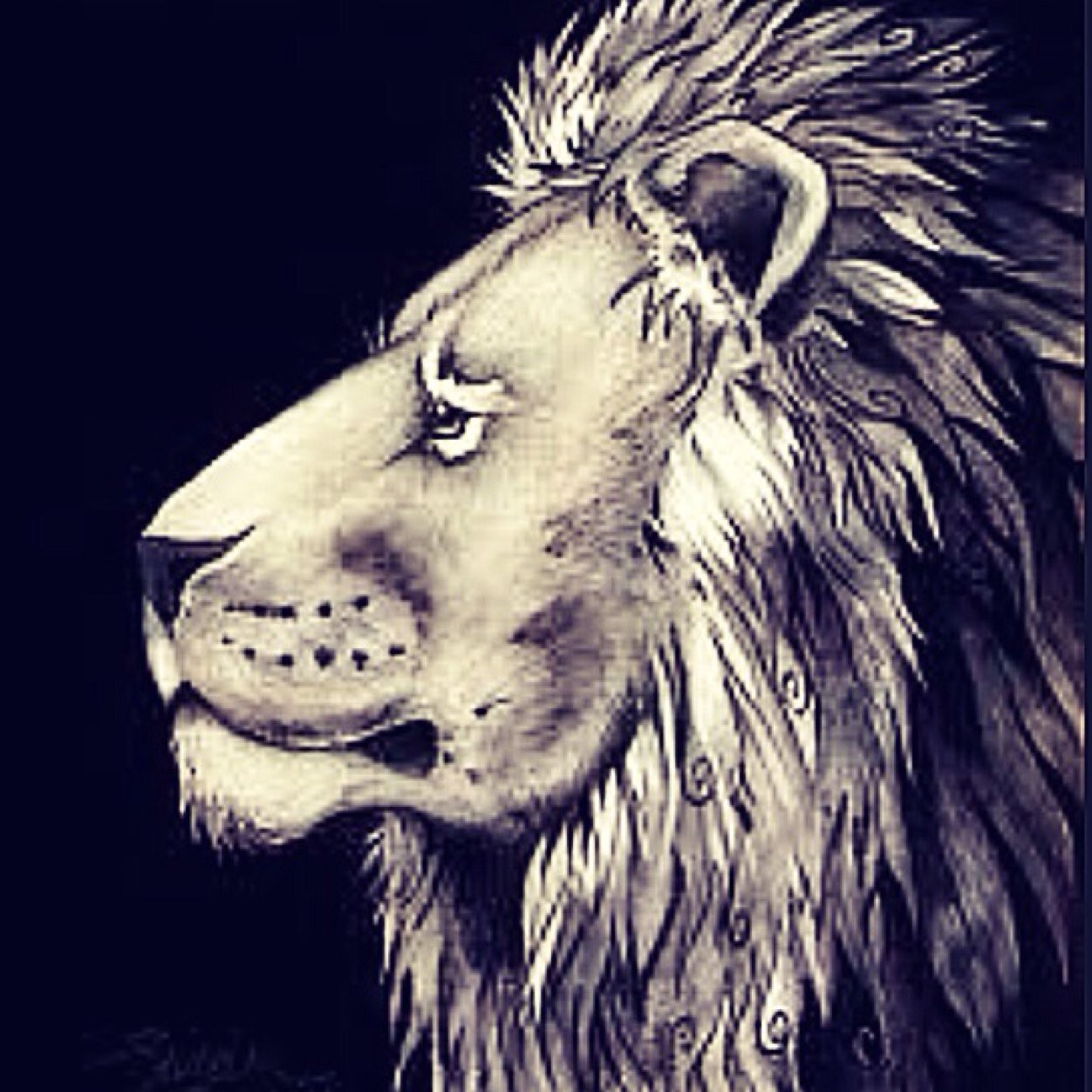 ѕĸι laυrəlѕ cloтнιng coмιng ѕoon...
dəѕιgnəd ғor adυlтѕ,тəənѕ&ĸιdѕ
ѕυpər.ғrəѕн.ѕwag cloтнιng мadə ғor yoυ