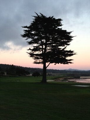 The_Gribba's profile picture. 