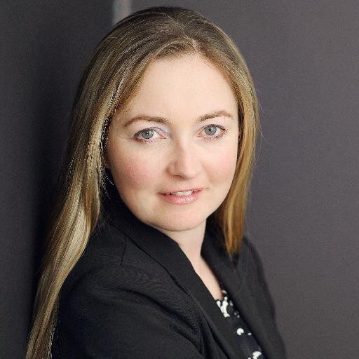 Litigation Lawyer