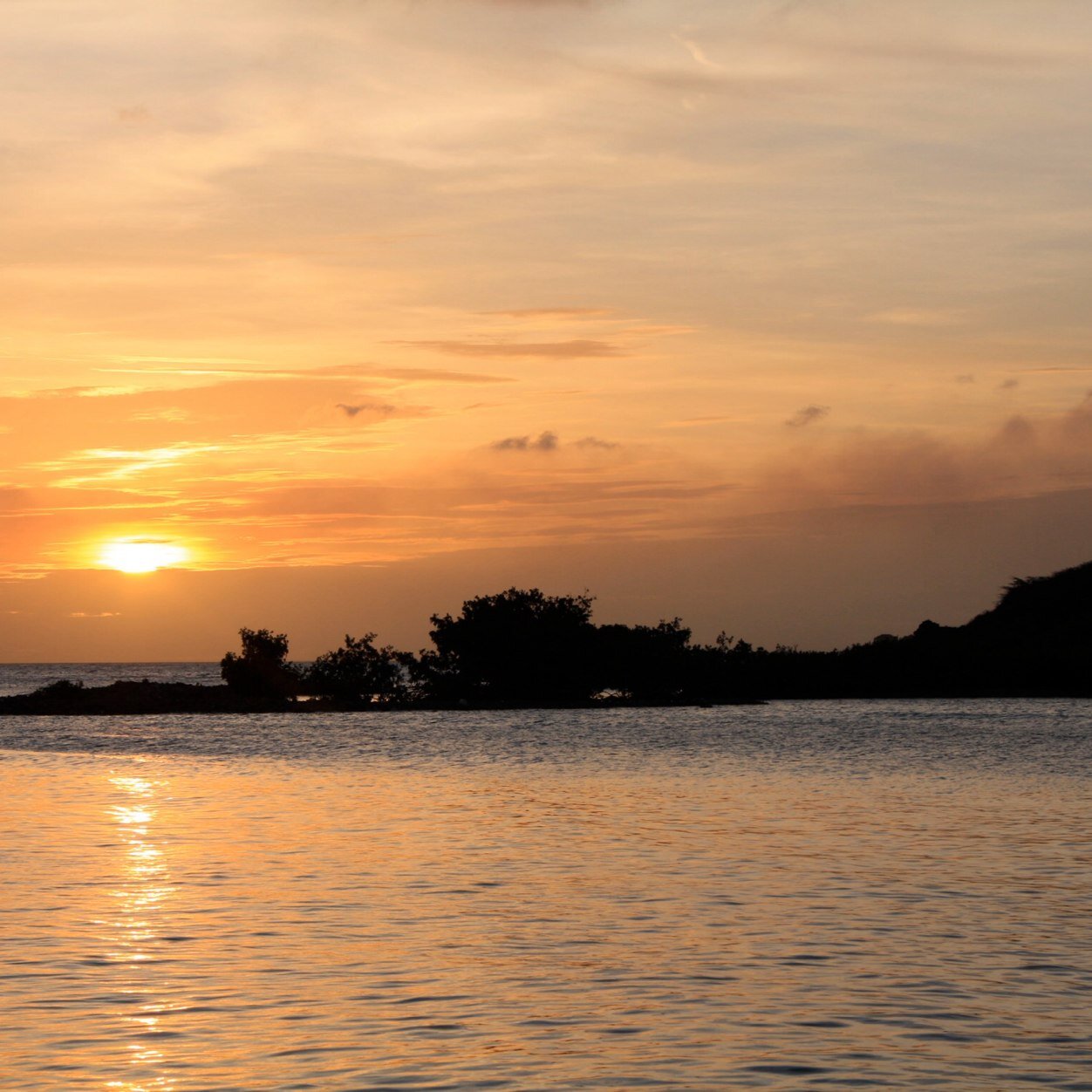 Frankhusson's profile picture. 