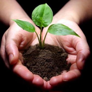 Trees are our Passion. Make them last.Every day, trees enhance our surroundings in a variety of ways: physical, aesthetic, economic, and psychological.