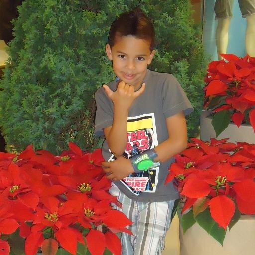 Eu Amo e Deus e jesus e meus pais