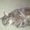 Tim Erickson - @TiErickson - Twitter